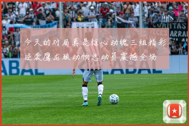 今天的对局真是惊心动魄三组精彩逆袭鹰龙狼动物总动员震撼全场