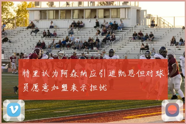 特里认为阿森纳应引进凯恩但对球员愿意加盟表示担忧